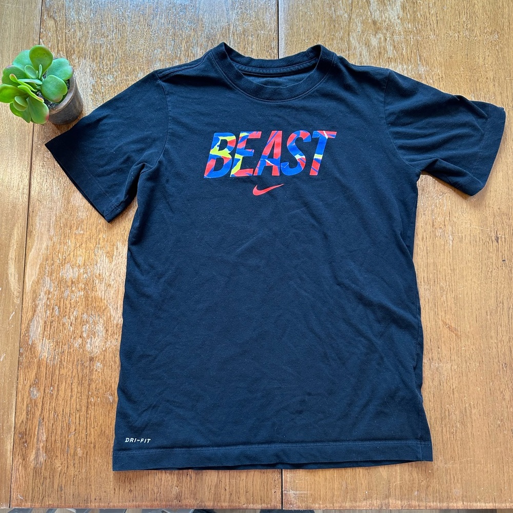 Nike Dri-Fit graphic tee